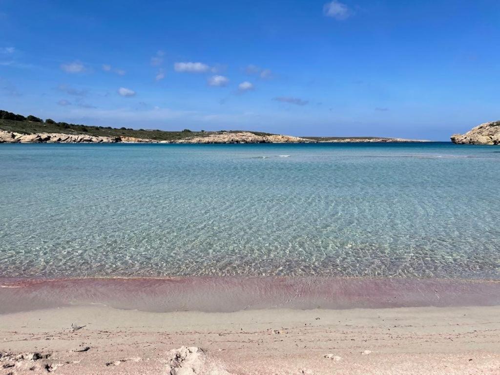 Apartamento Brisa De Menorca Son Parc Luaran gambar